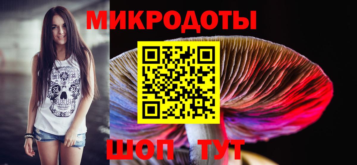 Галлюциногенные грибы Magic Shrooms Курганинск