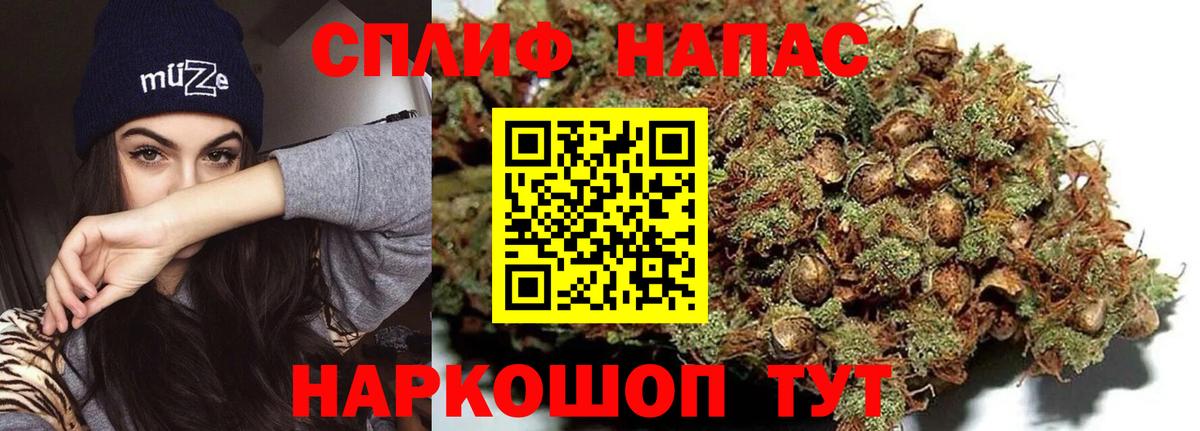 Курганинск  Конопля Ganja  Вход с VPN  Конопля планчик  Марихуана тримм 